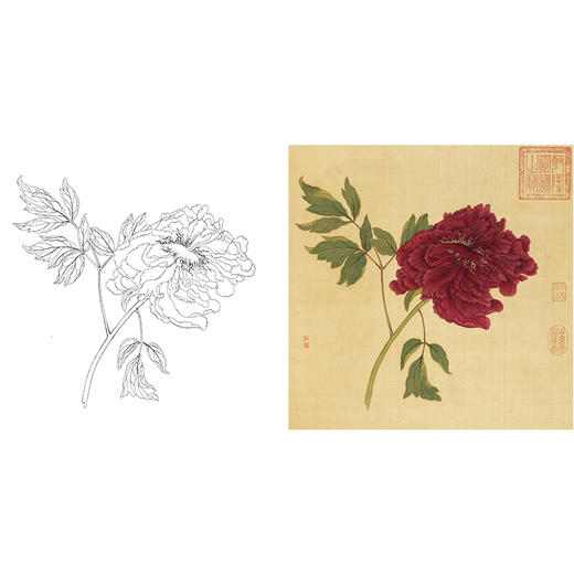 清 蒋廷锡 牡丹谱工笔花鸟白描底稿-斗方小品册页 JT04 商品图0