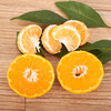 砂糖桔 商品缩略图1