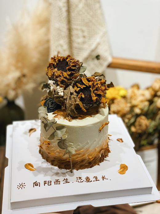 恣意向阳 商品图2