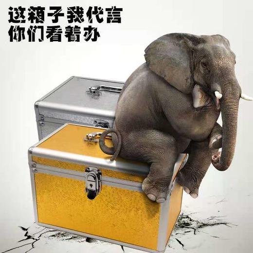 小号 足疗技师上钟工具箱 足浴修脚师收纳箱  采耳箱 手提箱 商品图2