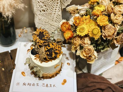 恣意向阳 商品图1