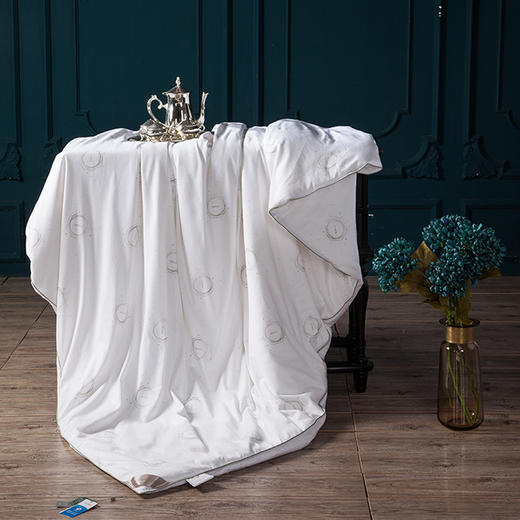 太湖雪纯净睡眠桑蚕丝被 商品图1