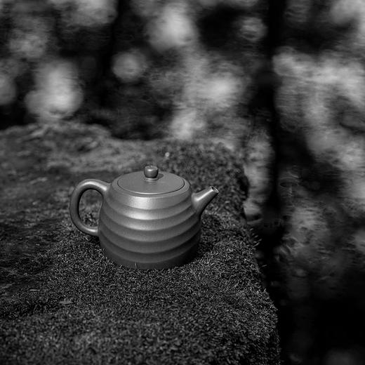 龙德堂陶艺 汤宣武制《濯月》原矿紫泥 270cc 库存咨询客服 商品图2