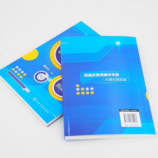 班组长实战操作手册 从理论到实战 制造业班组长培训手册 现场管理质量管理安全管理培训教程 生产管理书籍如何当好班组长车间班长 商品图3