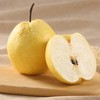 贡梨    500g/份 商品缩略图0
