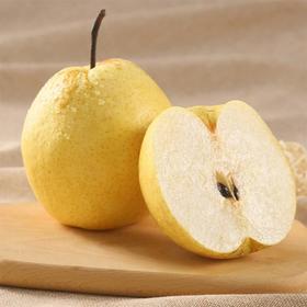 贡梨    500g/份