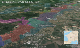 Great Reds of Côte de Beaune