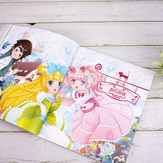 花国公主机智大冒险  墨西哥仙人掌绑匪 拼音版 儿童文学 畅销儿童书籍 儿童课外读物 亲子读物 启蒙认知课外读物 益智类童书 商品图4