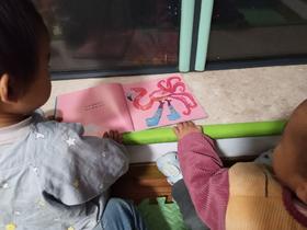 《袜子小白》：感觉只要有书就能安稳的度过trouble tow