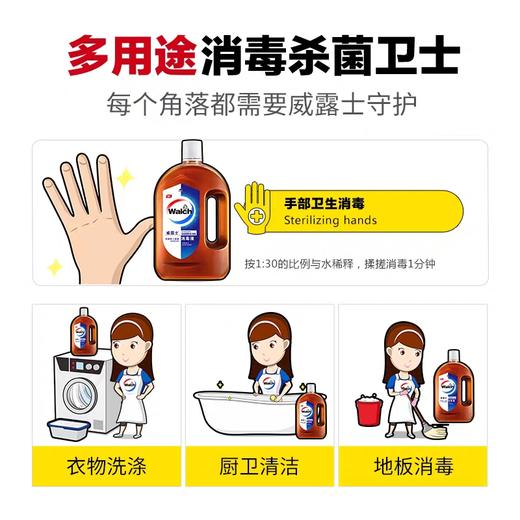 威露士消毒液1.6L（仅供济南市区） 商品图2