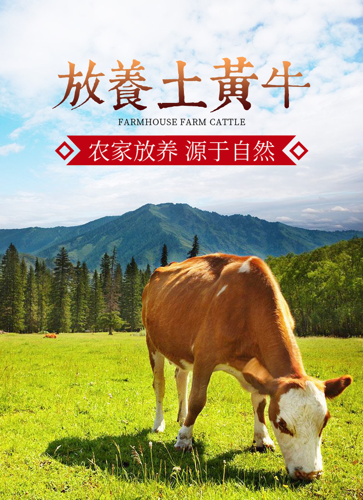 【只接单不发货,2.19陆续发货】皖北 中原牧场放养黄牛肉 2斤装