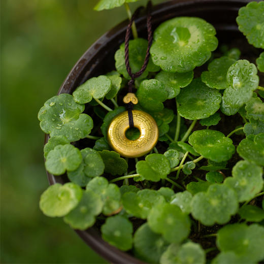 故宫如意平安扣 商品图2