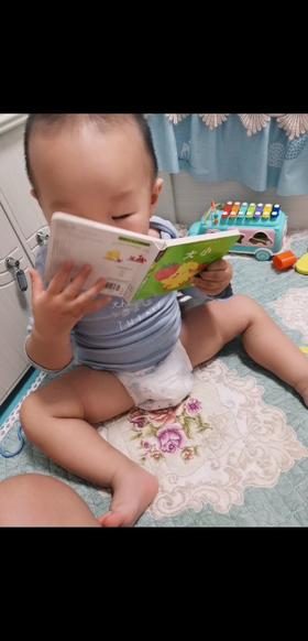 《小鸡球球洞洞书》：从1岁开始看，里面的图案都可以准确指认了