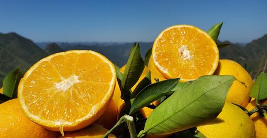 罗甸特产,脐橙,产地直发10斤68元