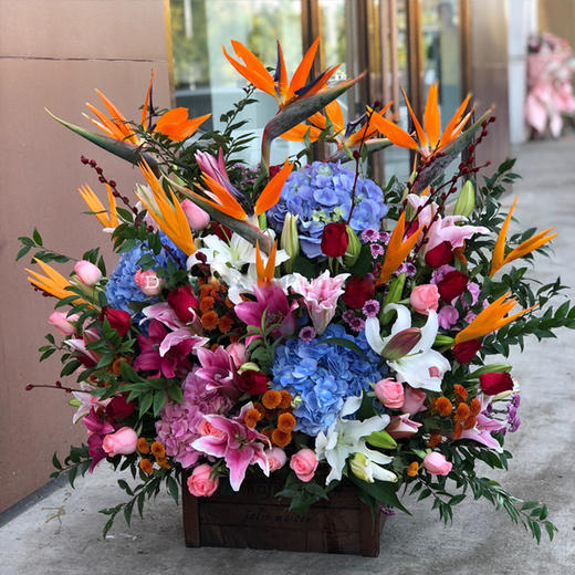 喜庆红掌天堂鸟混搭大花束花篮送长辈领导老师朋友生日升职贺寿开张乔迁送礼 商品图2