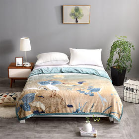 国家宝藏-乳鸭图休闲毯