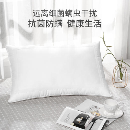 远梦蚕蛹蛋白润养枕（杏色/白色随机） 商品图2