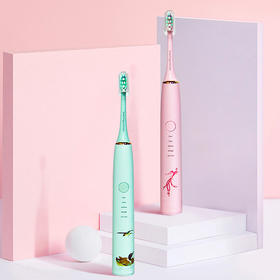 国宝声波电动牙刷