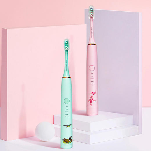 国宝声波电动牙刷 商品图0