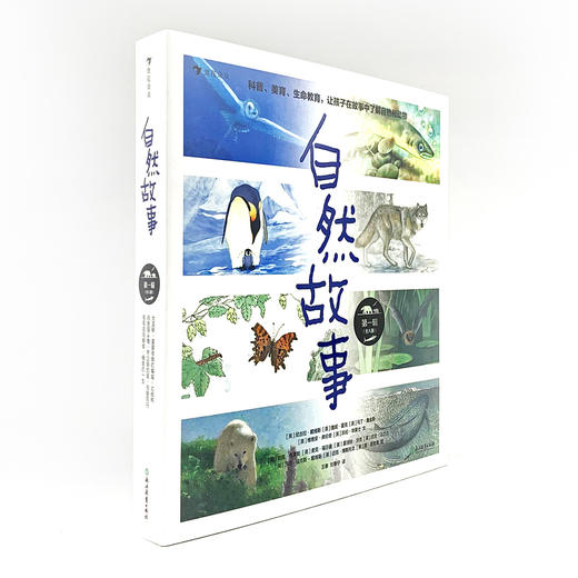 自然故事全三辑（全24册）根据英国学校科学大纲编写  一边看故事一边学科普 商品图2