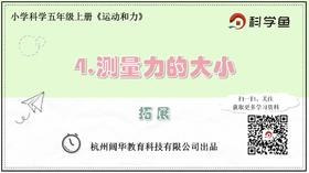 5.4.4《测量力的大小》拓展延伸课程