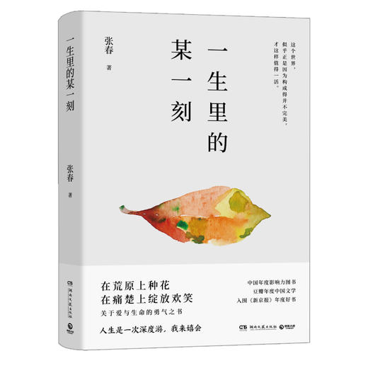 一生里的某一刻/张春 商品图0