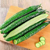 新鲜黄瓜 商品缩略图3