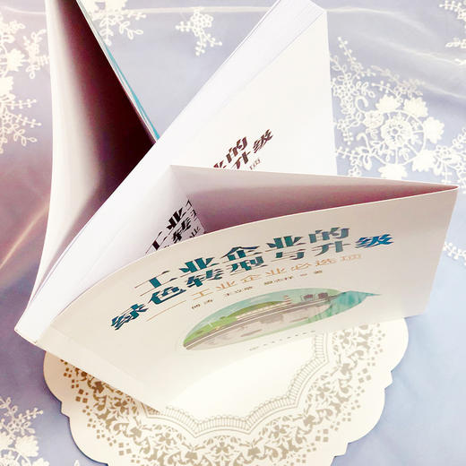 工业企业的绿色转型与升级 工业企业必选项 商品图2