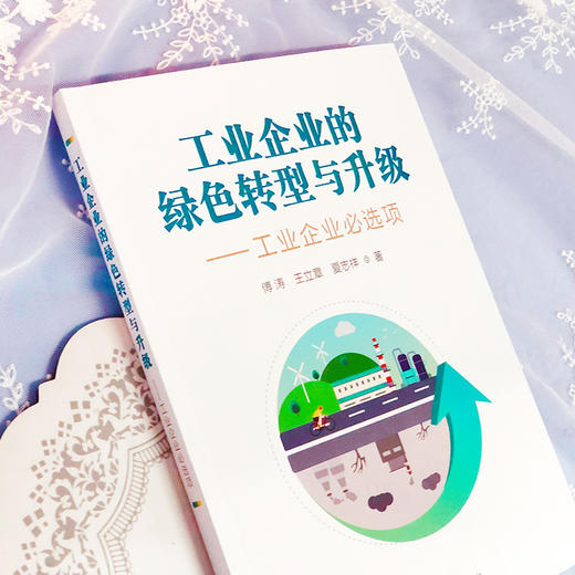 工业企业的绿色转型与升级 工业企业必选项 商品图3