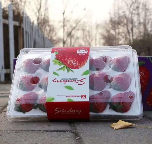 四川沙地红颜草莓400克 商品图4