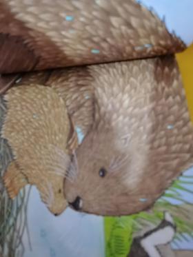 《爸爸的拥抱》：风格非常的细腻，好像都能摸到动物的毛发一样