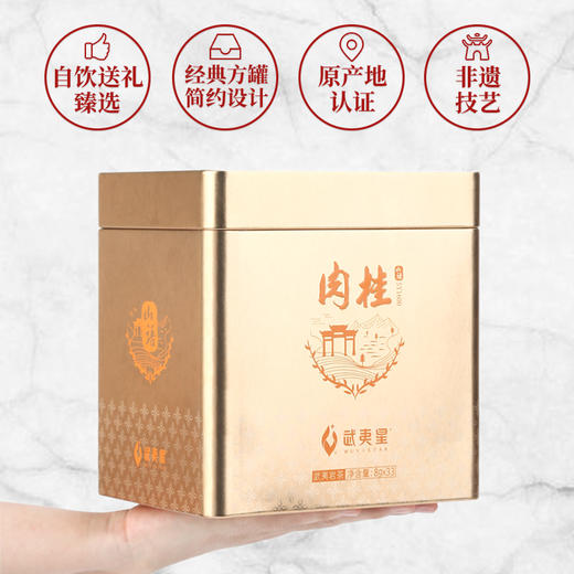 武夷星 山语SY1600正岩肉桂茶叶礼盒装264g 商品图2