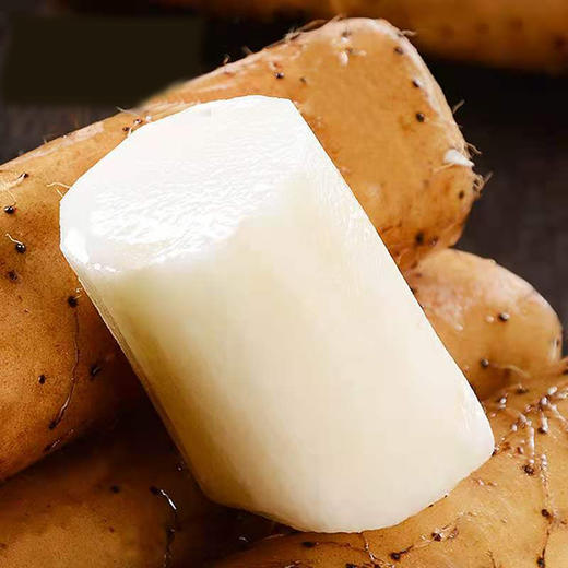 新鲜山药 商品图3