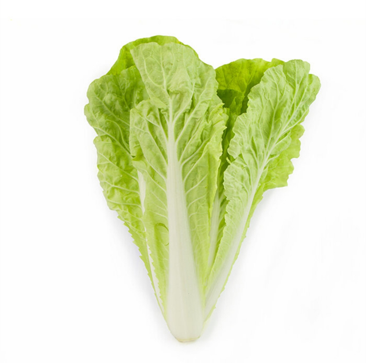 本地快菜约8两(杭白菜)