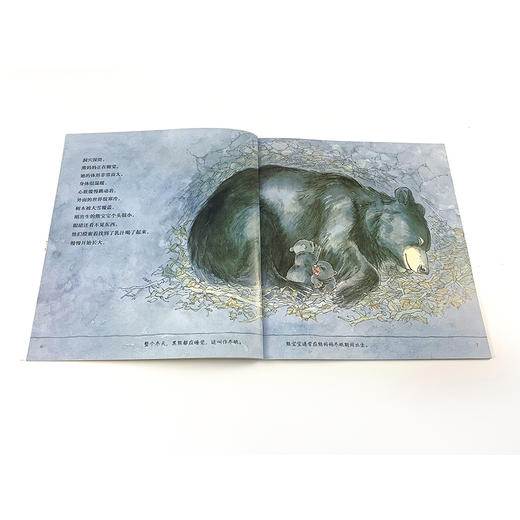 自然故事全三辑（全24册）根据英国学校科学大纲编写  一边看故事一边学科普 商品图12