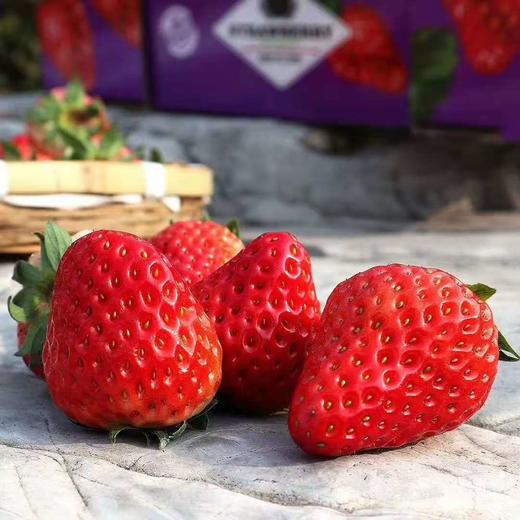 四川沙地红颜草莓400克 商品图1