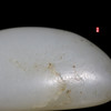 和田玉（白玉）独籽原石 41.09g（价格面议） 商品缩略图3