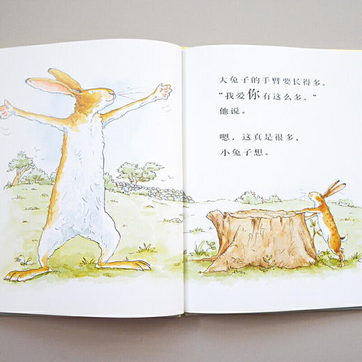 猜猜我有多爱你 商品图1