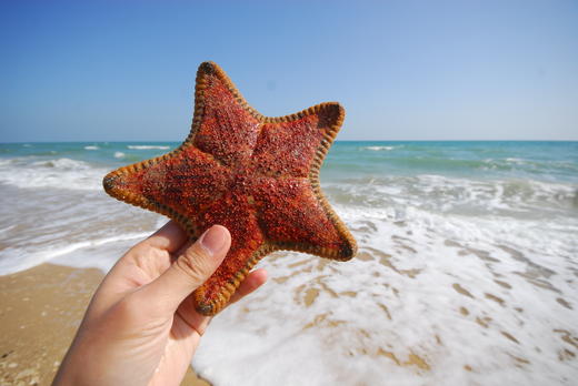 涠洲岛|博物旅行涠洲岛寒假之旅 商品图0