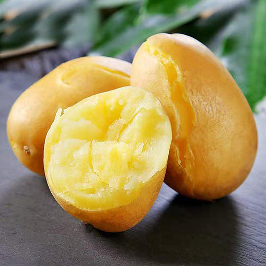 新鲜土豆 商品图1