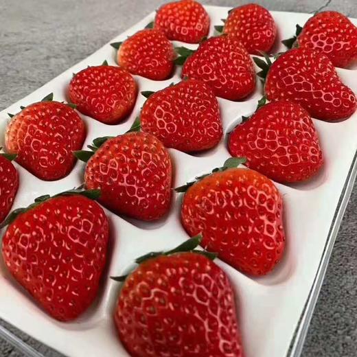 四川沙地红颜草莓400克 商品图3
