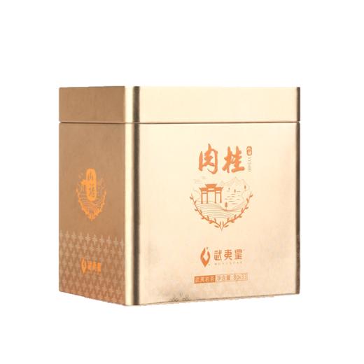 武夷星 山语SY1600正岩肉桂茶叶礼盒装264g 商品图6