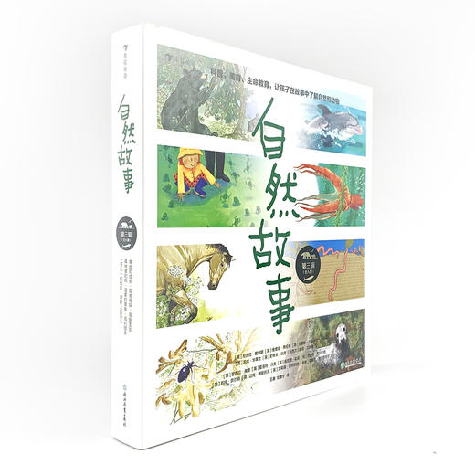 自然故事全三辑（全24册）根据英国学校科学大纲编写  一边看故事一边学科普 商品图13