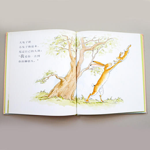 猜猜我有多爱你 商品图2