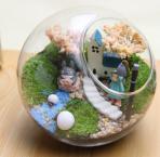 【学7】植物微景观 商品图0