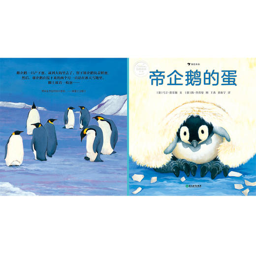 自然故事全三辑（全24册）根据英国学校科学大纲编写  一边看故事一边学科普 商品图9