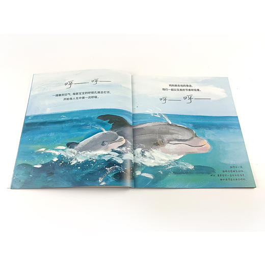 自然故事全三辑（全24册）根据英国学校科学大纲编写  一边看故事一边学科普 商品图11