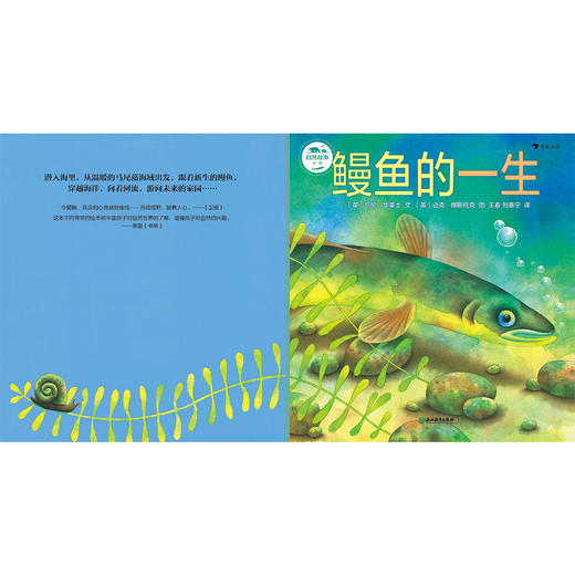 自然故事全三辑（全24册）根据英国学校科学大纲编写  一边看故事一边学科普 商品图7