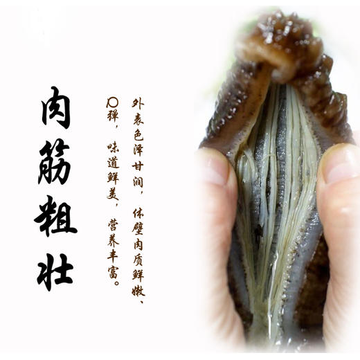 御歆坊冰岛即食海参60头（毛重4斤左右） 商品图2