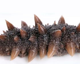 御歆坊即食辽宁海参（20头,毛重1斤）